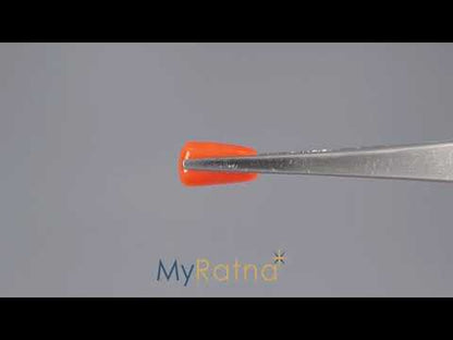 Red Coral (Moonga) - 4.63 Carats