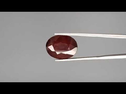 Hessonite - 11.24 Carats (Gomed - 12.25 Ratti)