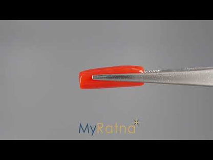 Red Coral (Moonga) - 8.34 Carats