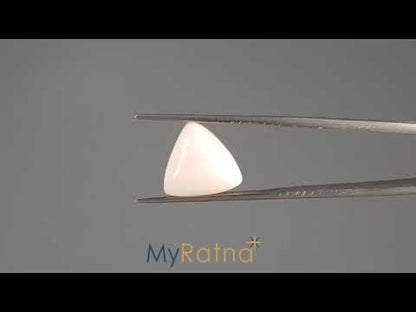 White Coral - 7.67 Carats