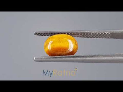 Tiger Eye - 1.88 Carats