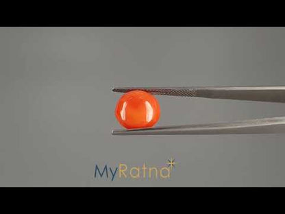 Red Coral (Moonga) - 4.29 Carats