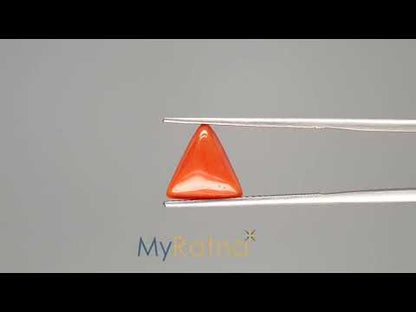 Red Coral (Moonga) - 3.38 Carats