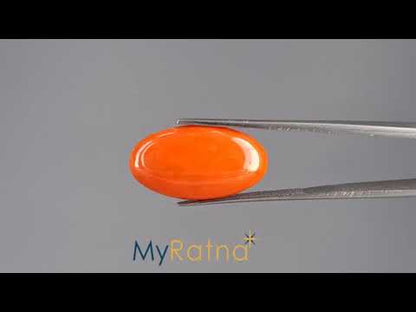 Red Coral - 10.36 Carats (Moonga - 11.29 Ratti)