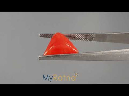 Red Coral - 5.85 Carats (Moonga - 6.38 Ratti)