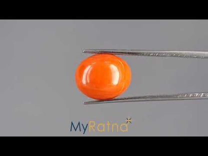 Red Coral - 6.69 Carats (Moonga - 7.29 Ratti)