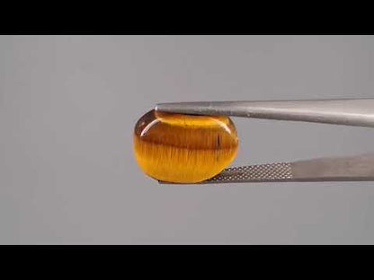 Tiger Eye - 10.30 Carats