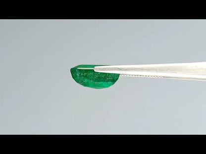 Emerald (Panna) - 8.73 Carats