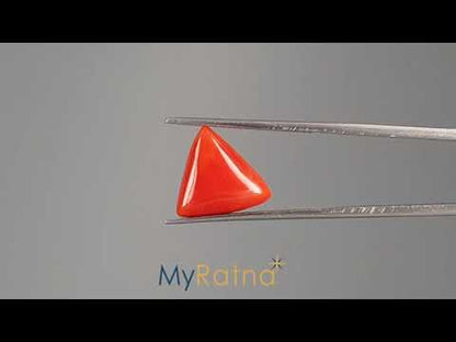 Red Coral (Moonga) - 5.50 Carats