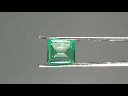 Emerald (Panna) - 2.70 Carats