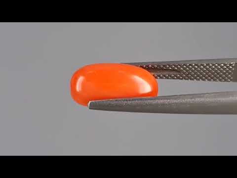 Red Coral (Moonga) - 2.15 Carats