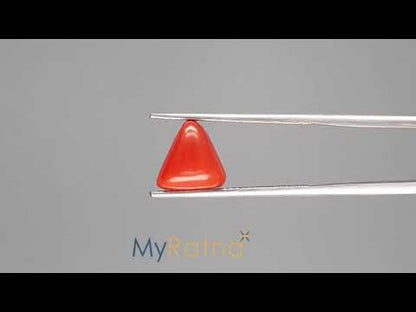 Red Coral (Moonga) - 3.41 Carats