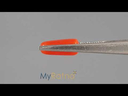 Red Coral (Moonga) - 3.69 Carats