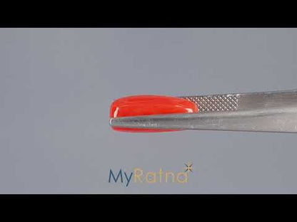 Red Coral (Moonga) - 6.11 Carats