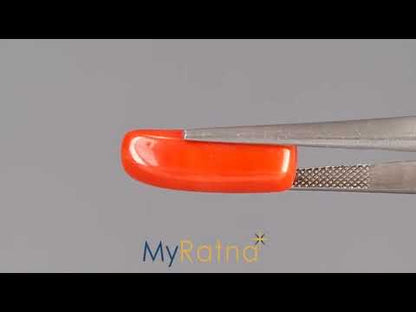 Red Coral - 9.42 Carats (Moonga - 10.27 Ratti)