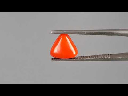 Red Coral (Moonga) - 2.67 Carats