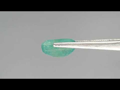Emerald (Panna) - 9.21 Carats