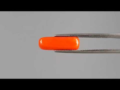 Red Coral - 3.76 Carats (Moonga - 4.10 Ratti)