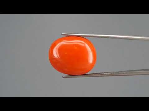 Red Coral (Moonga) - 16.94 Carats