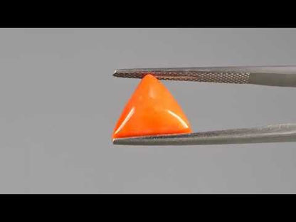 Red Coral (Moonga) - 4.43 Carats