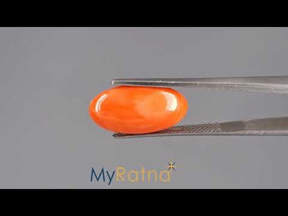 Red Coral - 7.07 Carats (Moonga - 7.71 Ratti)
