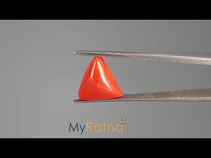 Red Coral (Moonga) - 5.68 Carats