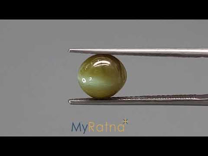Cat's Eye - 3.01 Carats (Lahsuniya - 3.28 Ratti)