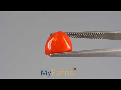 Red Coral (Moonga) - 5.77 Carats