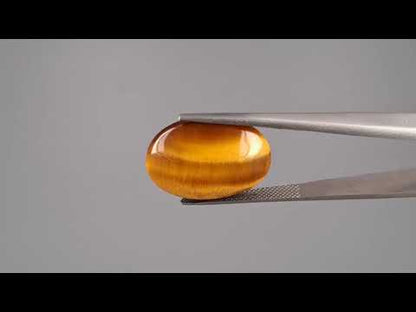 Tiger Eye - 13.84 Carats