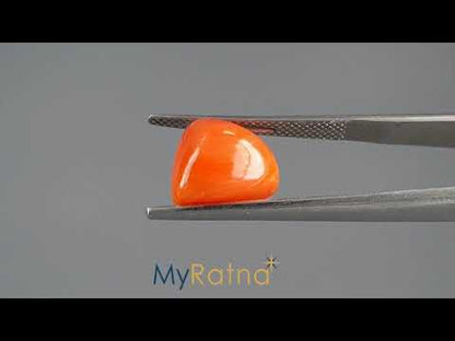 Red Coral - 5.47 Carats (Moonga - 5.96 Ratti)