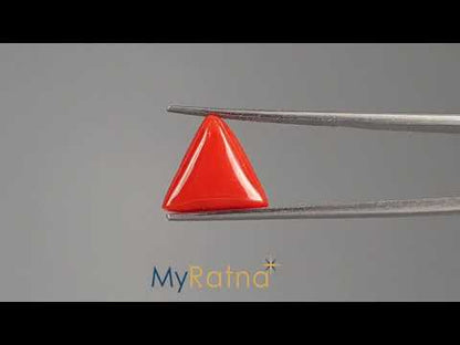 Red Coral (Moonga) - 5.29 Carats