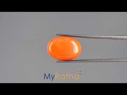 Red Coral - 5.11 Carats (Moonga - 5.57 Ratti)