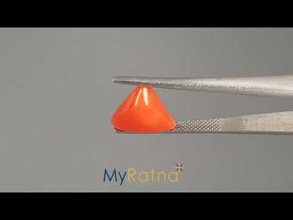 Red Coral (Moonga) - 5.61 Carats