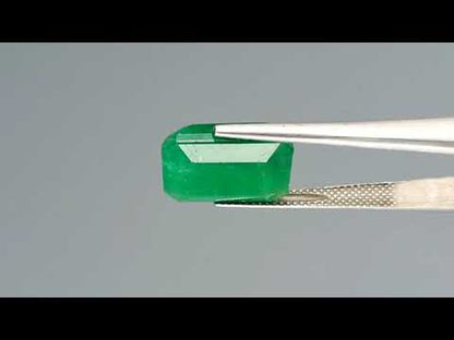 Emerald (Panna) - 9.32 Carats