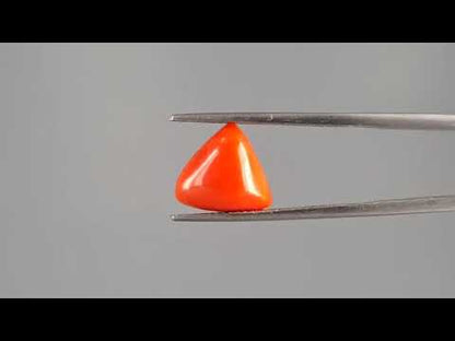 Red Coral (Moonga) - 4.27 Carats