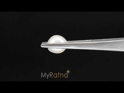 Venezuela Pearl - 3.53 Carats (Moti - 3.85 Ratti)