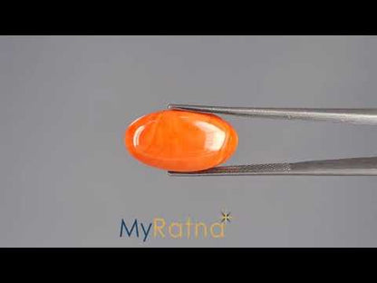 Red Coral - 8.14 Carats (Moonga - 8.87 Ratti)