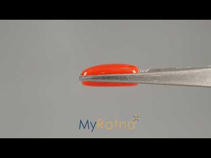 Red Coral - 8.21 Carats (Moonga - 8.95 Ratti)