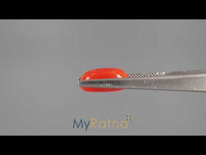 Red Coral - 3.94 Carats (Moonga - 4.29 Ratti)