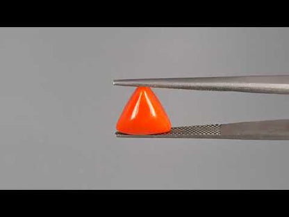 Red Coral - 3.59 Carats (Moonga - 3.91 Ratti)
