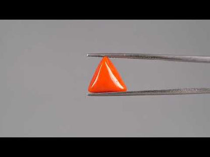 Red Coral (Moonga) - 3.24 Carats