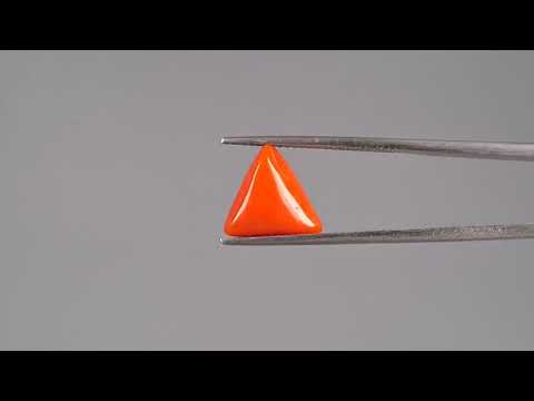 Red Coral (Moonga) - 3.24 Carats