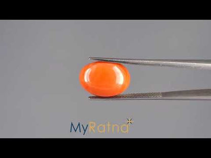 Red Coral - 5.42 Carats (Moonga - 5.91 Ratti)