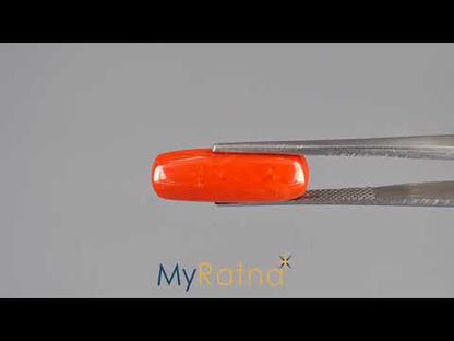 Red Coral - 9.12 Carats (Moonga - 9.94 Ratti)