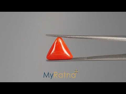 Red Coral (Moonga) - 6.05 Carats