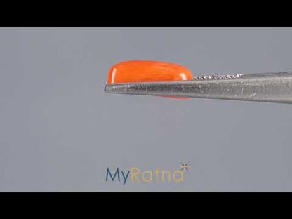 Red Coral (Moonga) - 3.96 Carats