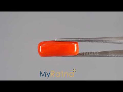 Red Coral (Moonga) - 11.37 Carats