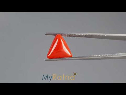 Red Coral (Moonga) - 6.74 Carats