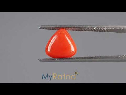 Red Coral (Moonga) - 3.07 Carats