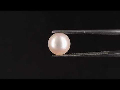 South Sea Pearl - 3.63 Carats (Moti - 3.96 Ratti)